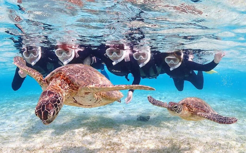 あのときの感動を、<br>誰かの“はじめて”に。