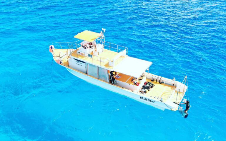 ダイビング専用大型クルーザー使用<br>少人数制でのんびり、快適に